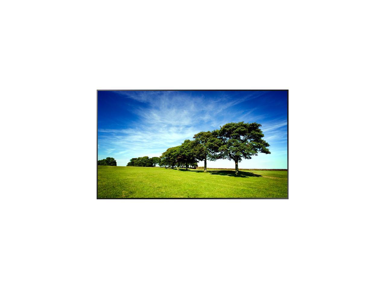Samsung QB65R-N 65" Edge-Lit 4K Ultra HD Commercial LCD Display (Cisco Certified Compatible Display), Non Wi-Fi, Integrated Media Player and SoC, TAA - LH65QBRNBGCXGO