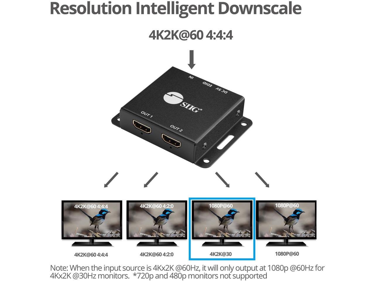 Siig 2-Port Hdmi 2.0 Hdr Mini Splitter Amplifier With Edid Management
