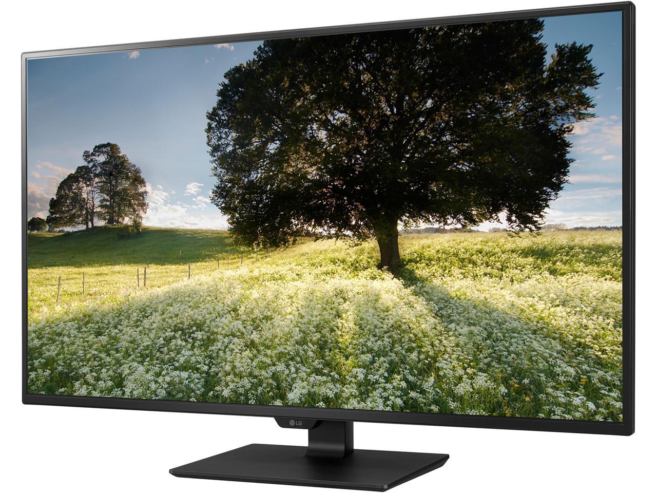 LG 43MU79-B Matte Black 43" (42.51" Diagonal) UHD 3840 x 2160 4K Monitor, 350 cd/m2, HDMI, DisplayPort, USB Type-C, Tilt, VESA Compatible