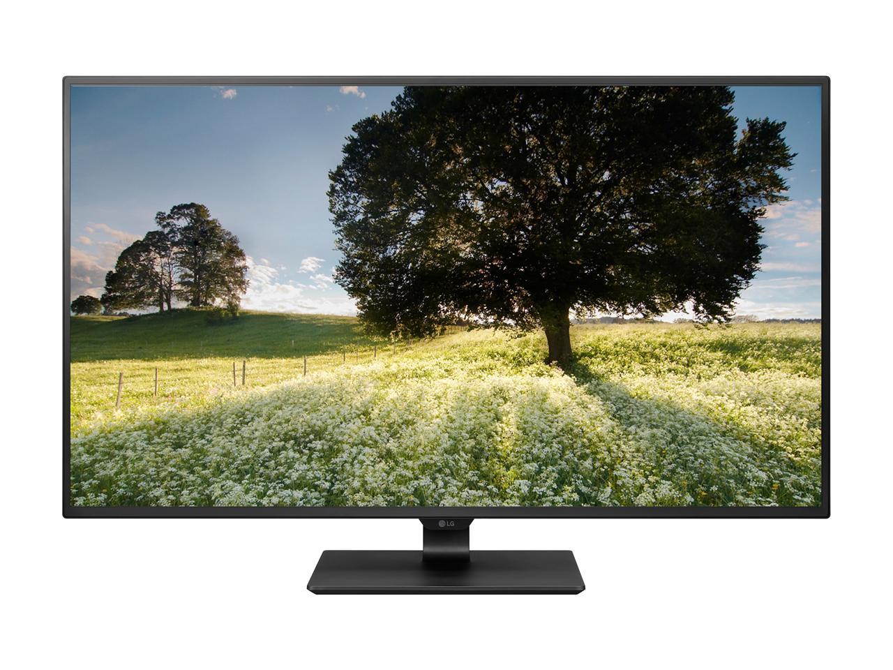 LG 43MU79-B Matte Black 43" (42.51" Diagonal) UHD 3840 x 2160 4K Monitor, 350 cd/m2, HDMI, DisplayPort, USB Type-C, Tilt, VESA Compatible