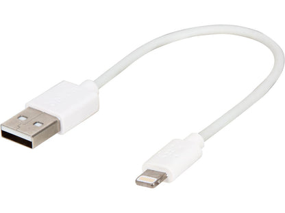 Belkin 6" Usb Lightning Cable White (F8J023bt06INWHT)