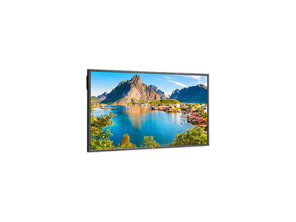 NEC E805 80" LED Backlit Commercial-Grade Display