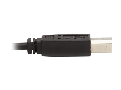 Tripp Lite P784-006-U 6 ft. DVI KVM Cable Kit - DVI, USB, 3.5 mm Audio (3xM/3xM) + USB (M/M), 1080p, 6 ft., Black