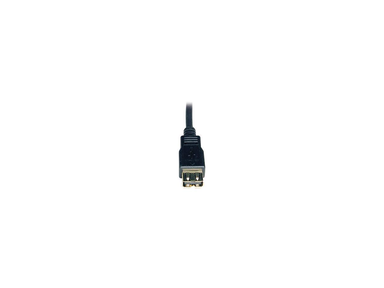 Tripp Lite 6ft USB 2.0 AA Gold Extension Cable, USB-A Male to USB-A Female, 6'