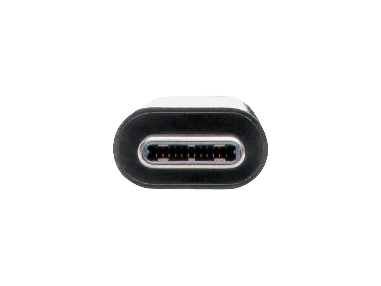 Tripp Lite USB C to DVI Multiport Adapter Converter Dock USB Type C to DVI (U444-06N-DGUB-C)
