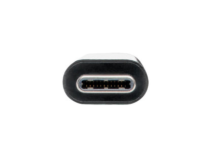 Tripp Lite USB C to DVI Multiport Adapter Converter Dock USB Type C to DVI (U444-06N-DGUB-C)