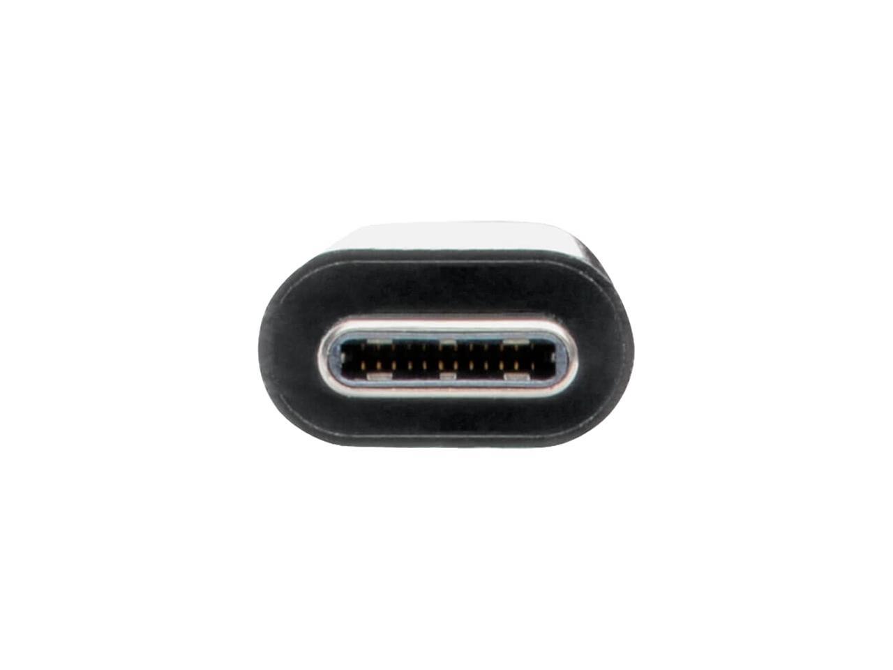 Tripp Lite USB C to DVI Adapter USB Hub & PD Charging USB Type C to DVI 6in (U444-06N-DUB-C)