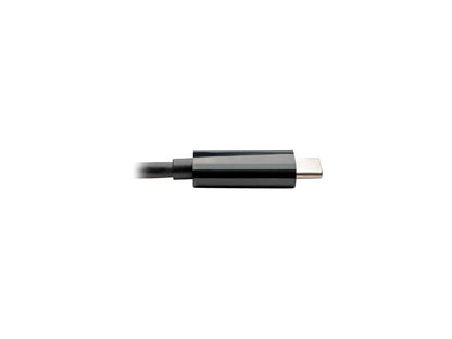Tripp Lite USB C to DVI Adapter USB Hub & PD Charging USB Type C to DVI 6in (U444-06N-DUB-C)