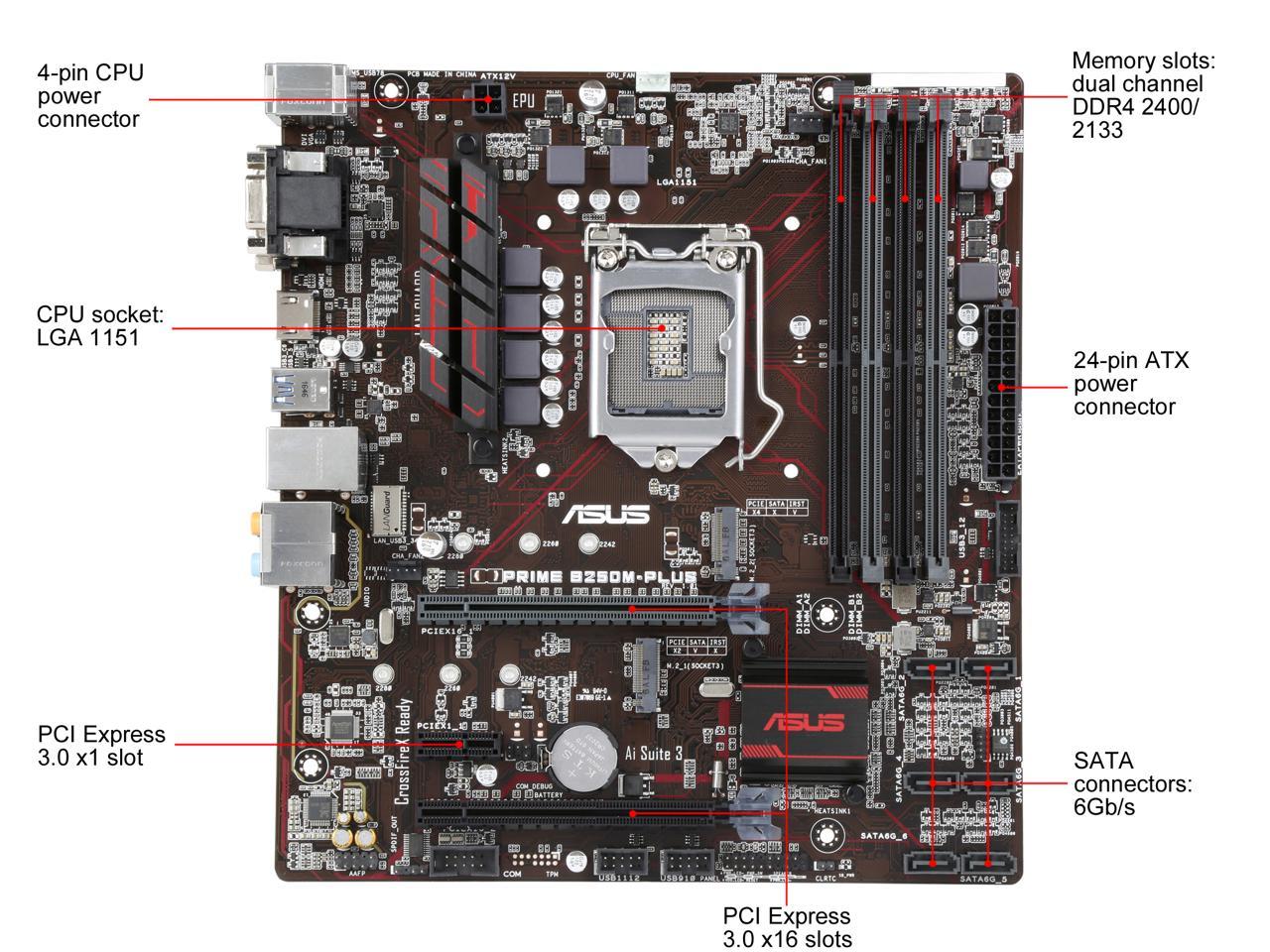 ASUS PRIME B250M-PLUS LGA 1151 Intel B250 HDMI SATA 6Gb/s USB 3.0 Micro ATX Motherboards - Intel