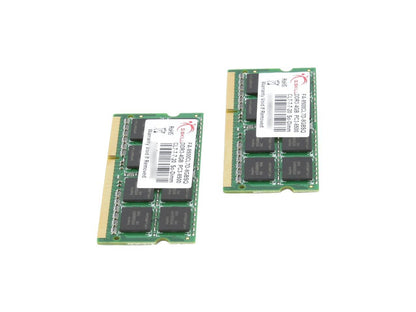 G.SKILL 8GB (2 x 4GB) DDR3 1066 (PC3 8500) Memory for Apple Model FA-8500CL7D-8GBSQ