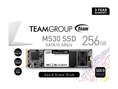 Team MS30 M.2 2280 256GB SATA III TLC Internal Solid State Drive (SSD) TM8PS7256G0C101