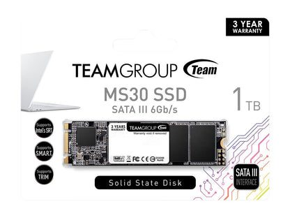 Team MS30 M.2 2280 1TB SATA III TLC Internal Solid State Drive (SSD) TM8PS7001T0C101