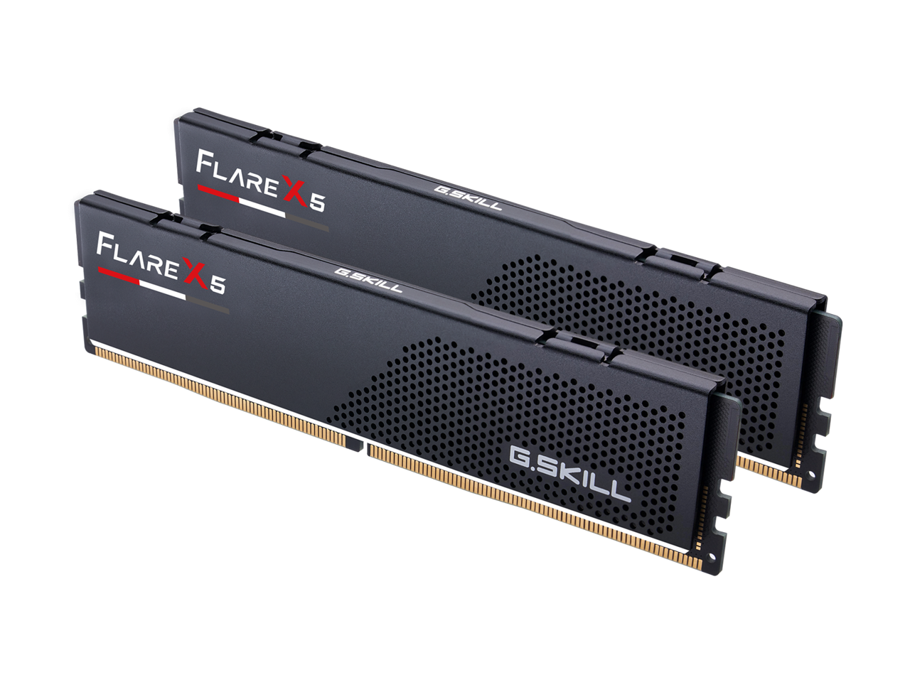 G.SKILL Flare X5 32GB (2 x 16GB) 288-Pin PC RAM DDR5 5600 (PC5 44800) AMD Ryzen 7000 Desktop Memory Model F5-5600J3636C16GX2-FX5