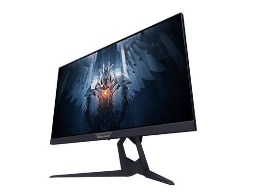 AORUS FI25F 24.5" 240Hz 1080P Adaptive Sync Gaming Monitor, Exclusive Built-in ANC, 1920x1080 Display, 0.4ms Response Time (MPRT), 1x Display Port 1.2, 2x HDMI 2.0, 2x USB 3.0