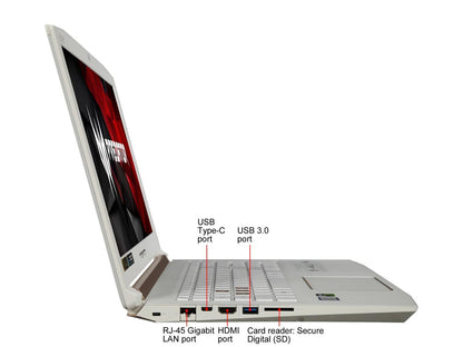 Acer Predator Helios 300 PH315-51-757A 15.6" 144 Hz IPS GTX 1060 6 GB VRAM i7-8750H 16 GB Memory 256 GB SSD Windows 10 Home Gaming Laptop