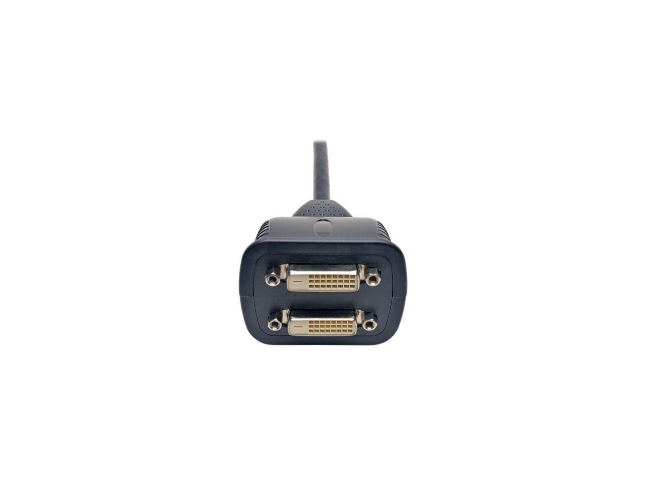 Tripp Lite P564-001 Black Male to 2 Female DVI-D Y Splitter Cable