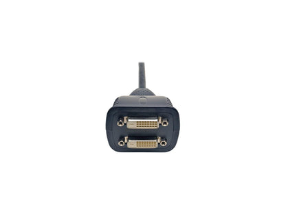 Tripp Lite P564-001 Black Male to 2 Female DVI-D Y Splitter Cable