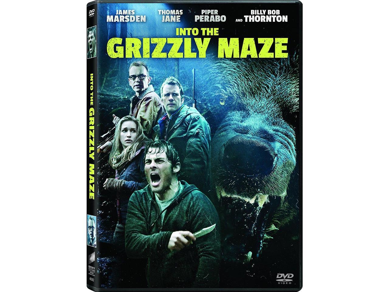 INTO THE GRIZZLY MAZE