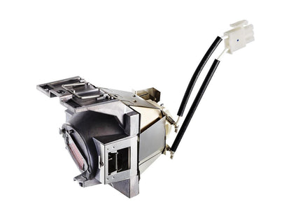 Viewsonic Rlc-117 Projector Lamp