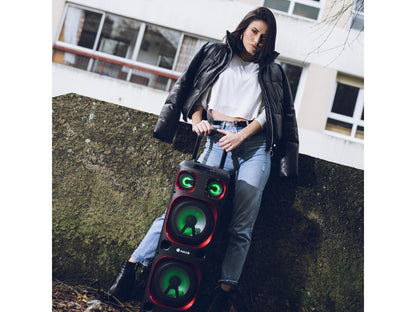 NGS 300W Wireless BT Double 8" Woofer Speaker with Built-in Battery - WildSka1