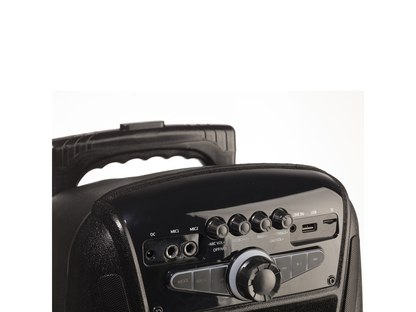 NGS 35W WildMambo Portable Bluetooth Speaker with built in FM Radio