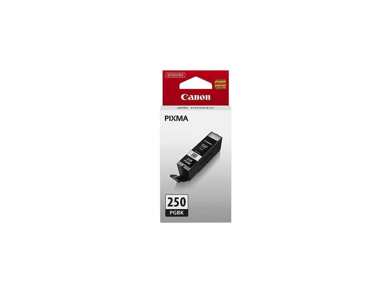 Canon - 250 Ink Cartridge - Black